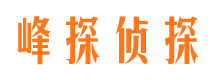 兴平市私人调查